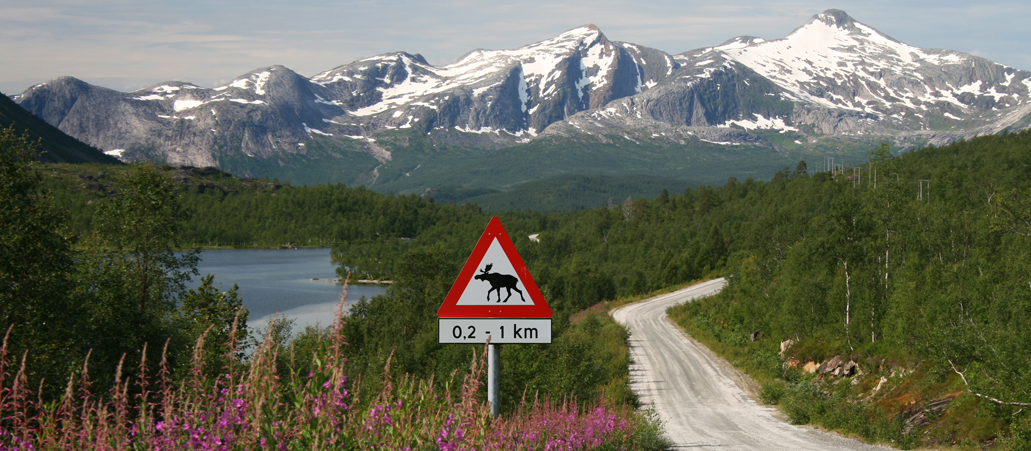 Eine Schottenpiste führt den Blick des Betrachters an einem See vorbei (links) auf die schneebedeckten Berge Norwegens zu.