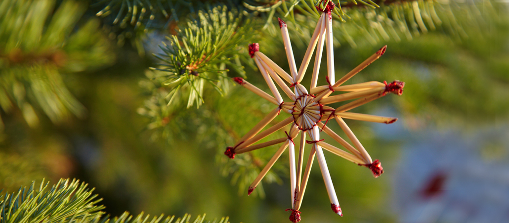 Strohsternchen hängt am Weihnachtsbaum
