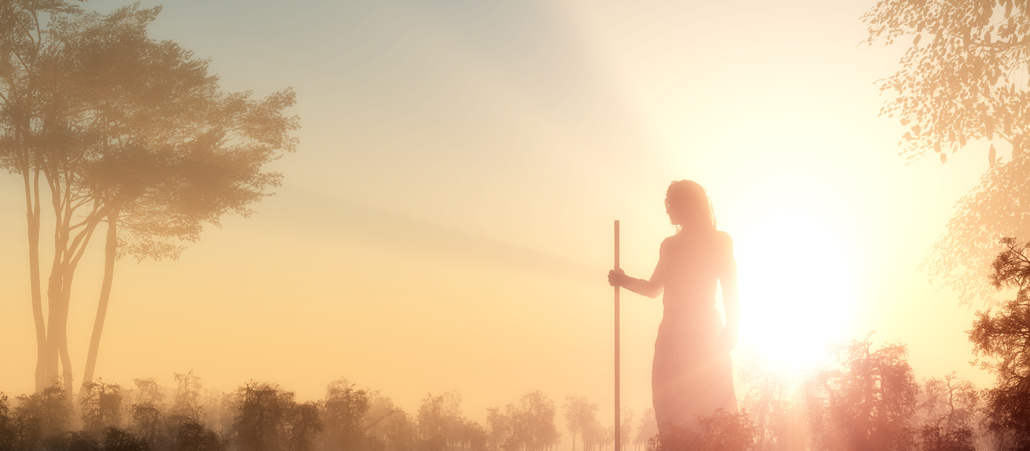 Ein Mann steht im Zwielicht in einer Waldlandschaft und wird von der Abendsonne beschienen (Animation)