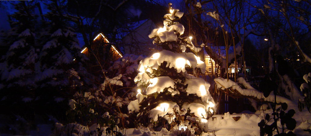 Ein leuchtender Weihnachtsbaum im dunklen verschneiten Garten.