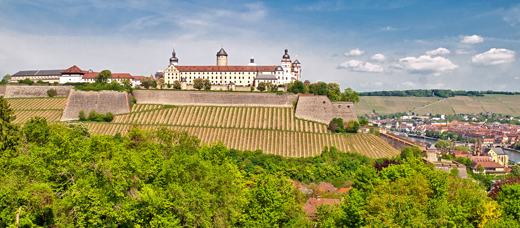 Weinberg unterhalb der Festung Marienberg bei Würzburg.