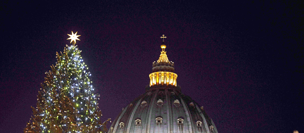 Zu sehen sind die Spitze des Baumes und Kuppels des Petersdoms.