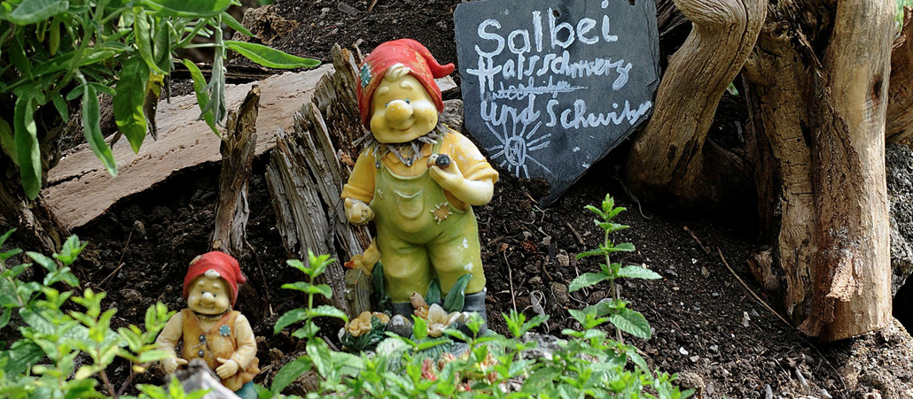 Salbei im Klostergarten der Oberzeller Franziskanerinnen. Er hilft laut Schild gegen Halsschmerzen.