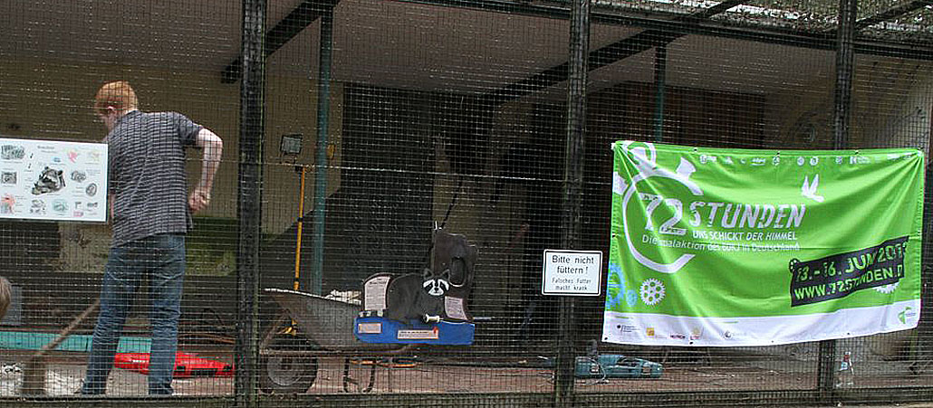 Jugendliche sanieren im Rahmen der 72-Stunden-Aktion das Waschbären-Gehege im Zoo von Neuwied.