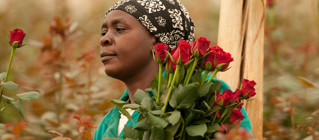 Frau auf einer Blumenfarm