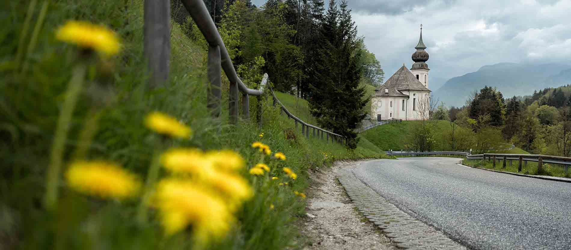 Löwenzahn am Wegesrand vor einer Kirche