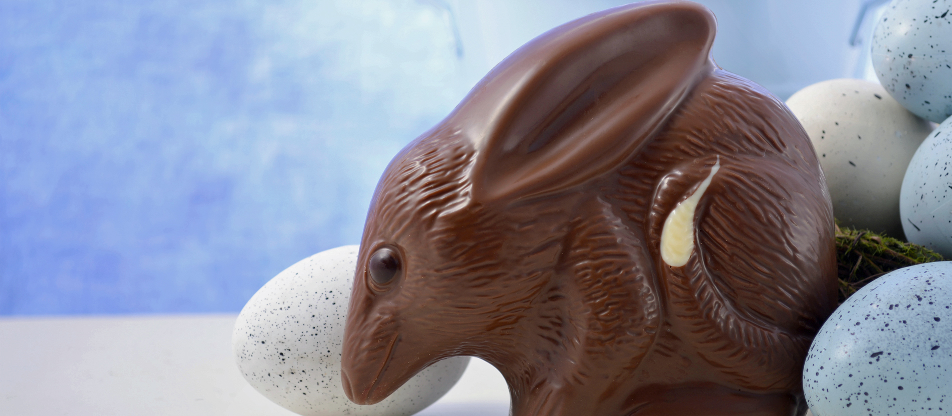 Oster Bilby