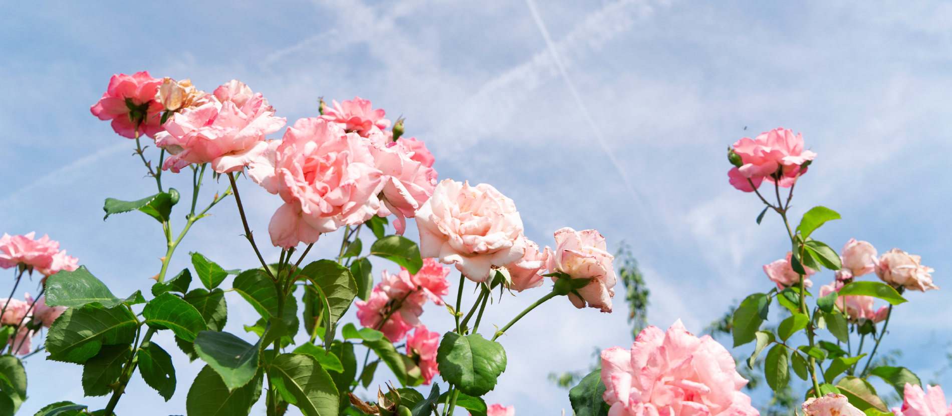 Wie wird der Himmel sein?