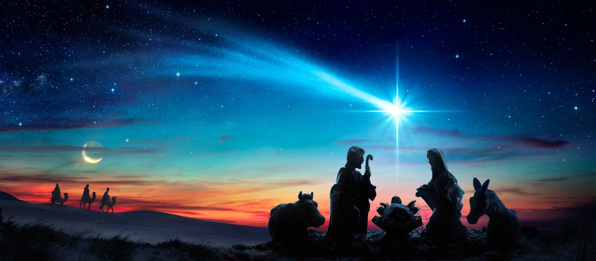 Krippe Weihnachten