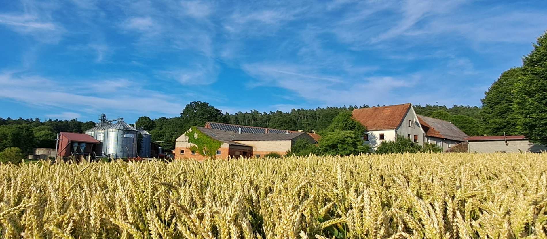 Der Ritzelshof der Familie Baumgarten wird heute von einem Sohn des Ehepaars geführt.