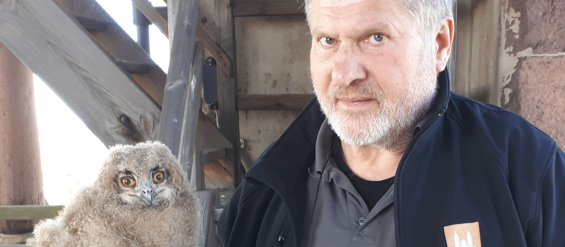 Dom-Techniker Günter Frey mit einem frisch beringten Uhu-Küken