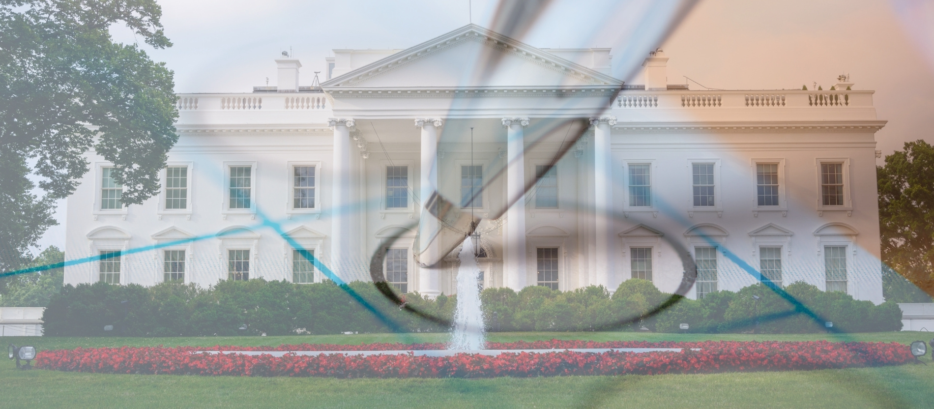 Papst Leo XIV. hat bei der US-Präsidentschaftswahl 2024 gewählt