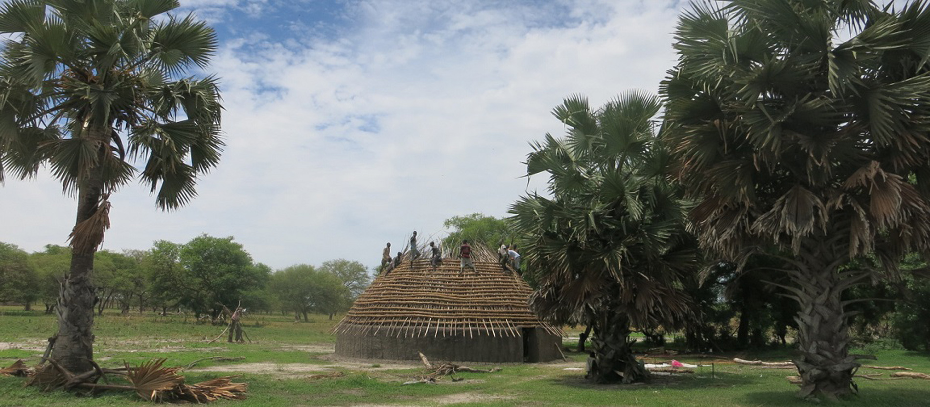Angehörige des Volkes der Nuer bauen ein traditionelles Rundhaus neben großen Palmen.