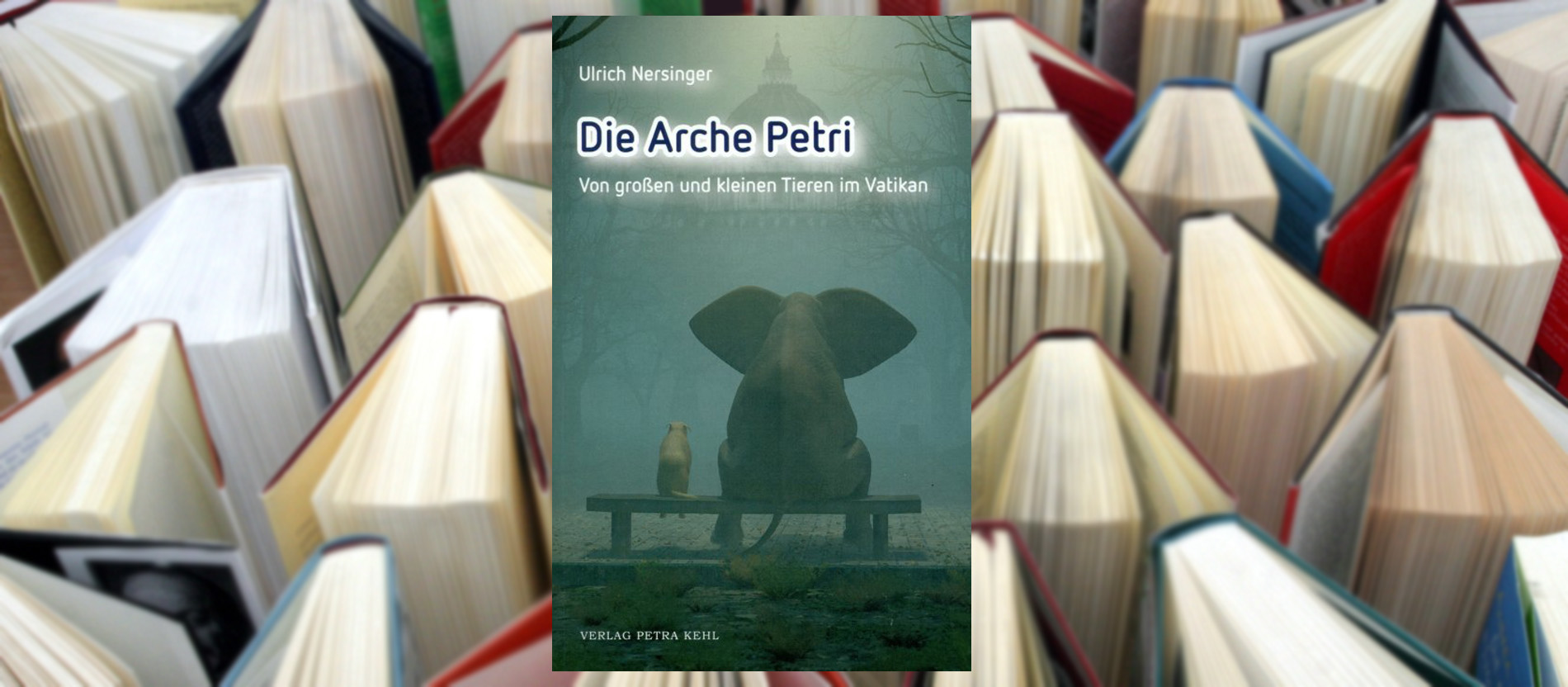 Cover des Buches 