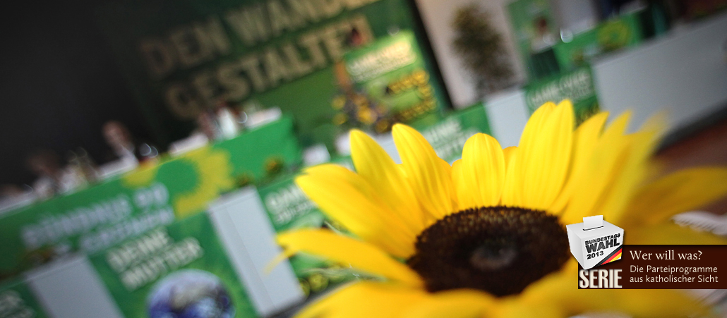 Vor den Aufbauten eines Parteitags von "Bündnis 90/Die Grünen" steht eine Sonnenblume.