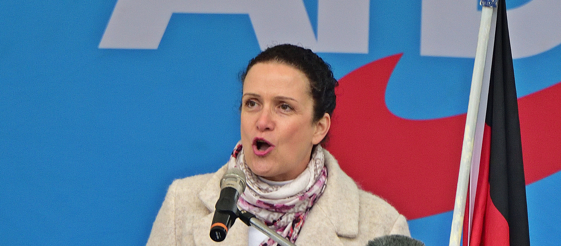 AfD reagiert auf Interviewaussagen von Bischof Oster