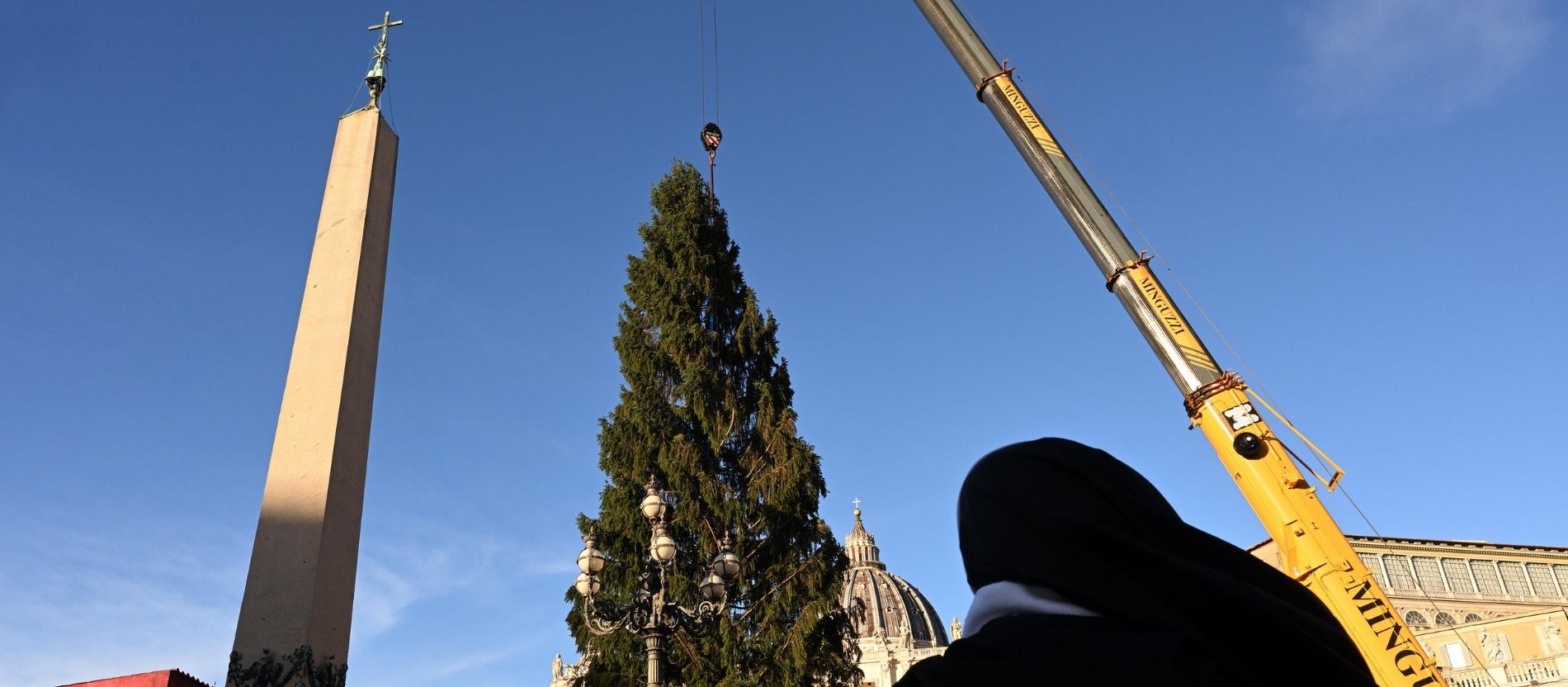 Weihnachtsbaum aus Südtirol im Vatikan aufgestellt