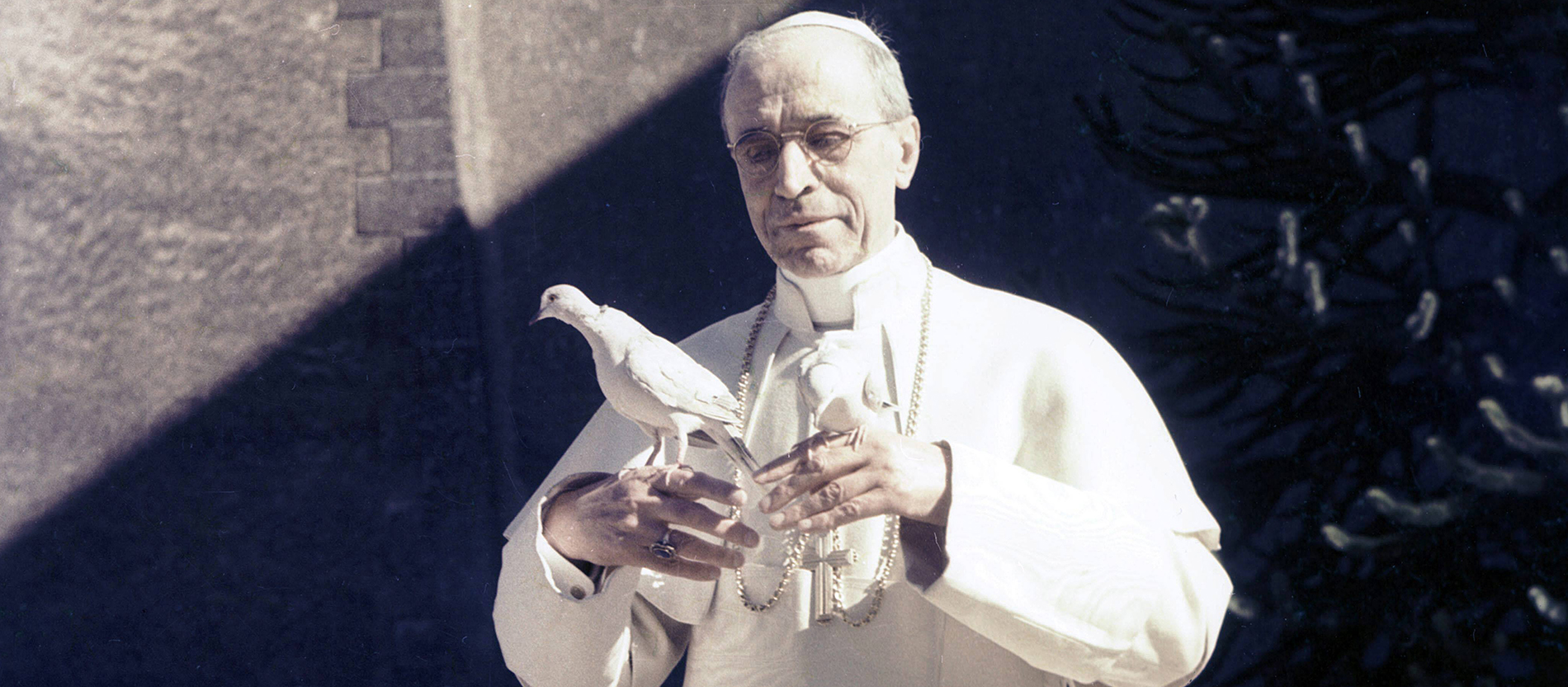 Papst Pius XII. mit einer weißen Taube auf der Hand