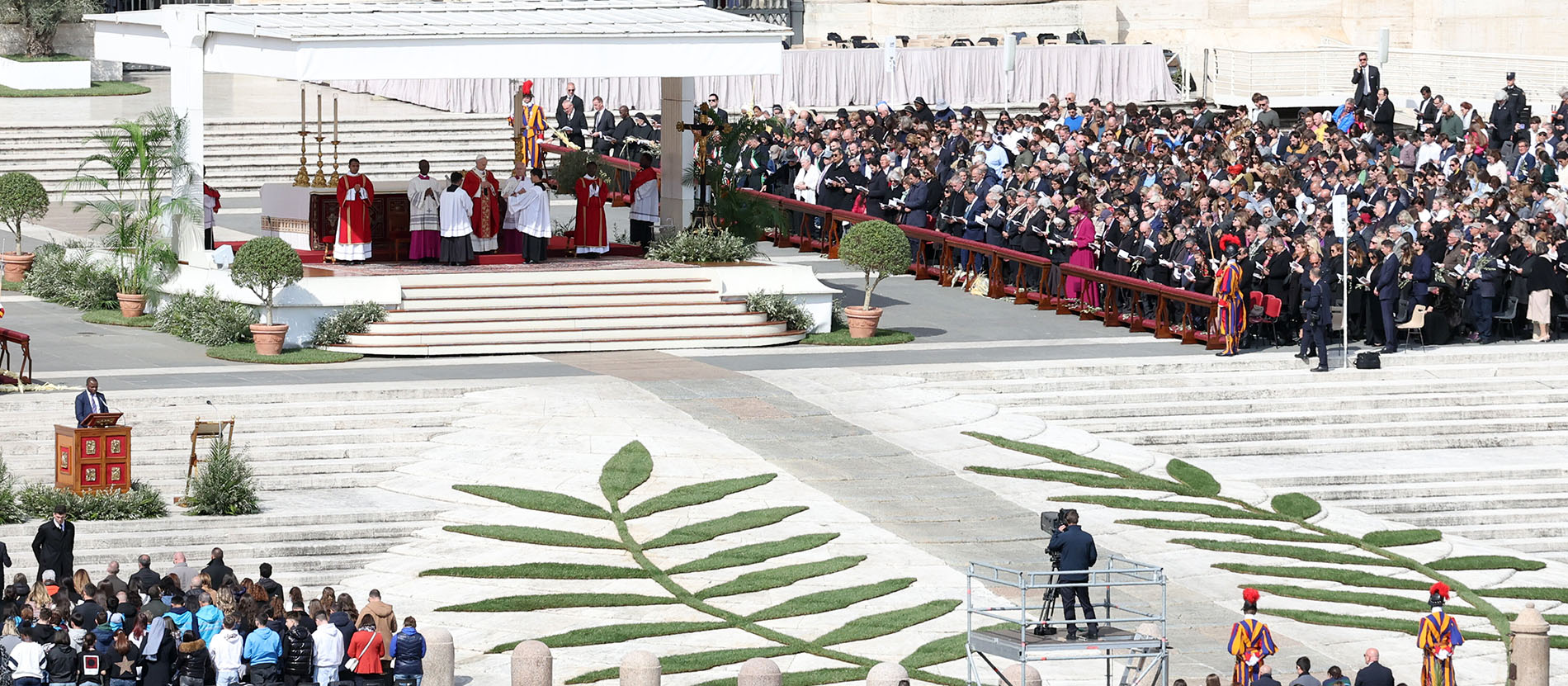 Die erste Palmsonntagsmesse von Papst Leo XIV. 