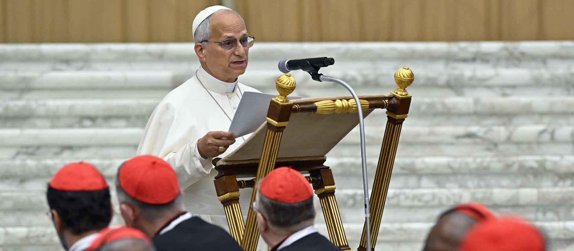 Papst Leo XIV. für neue Kultur der Gewaltlosigkeit und des Dialogs