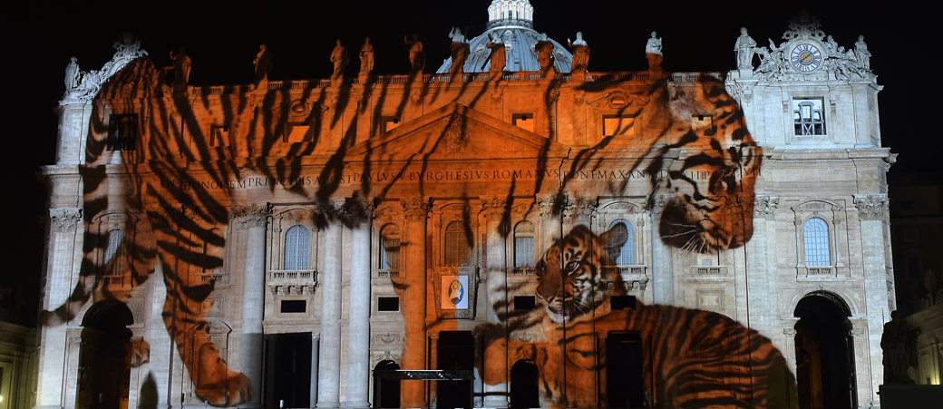 Auch ein Tiger zeigte sich riesengroß über die Fassade der Kirche.