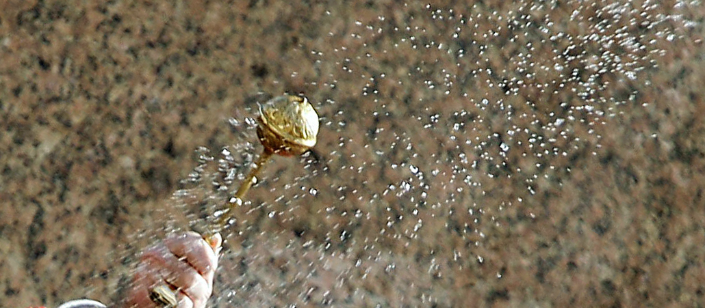 Tierschützer fordern: Priester sollen keine Ostereier mehr segnen