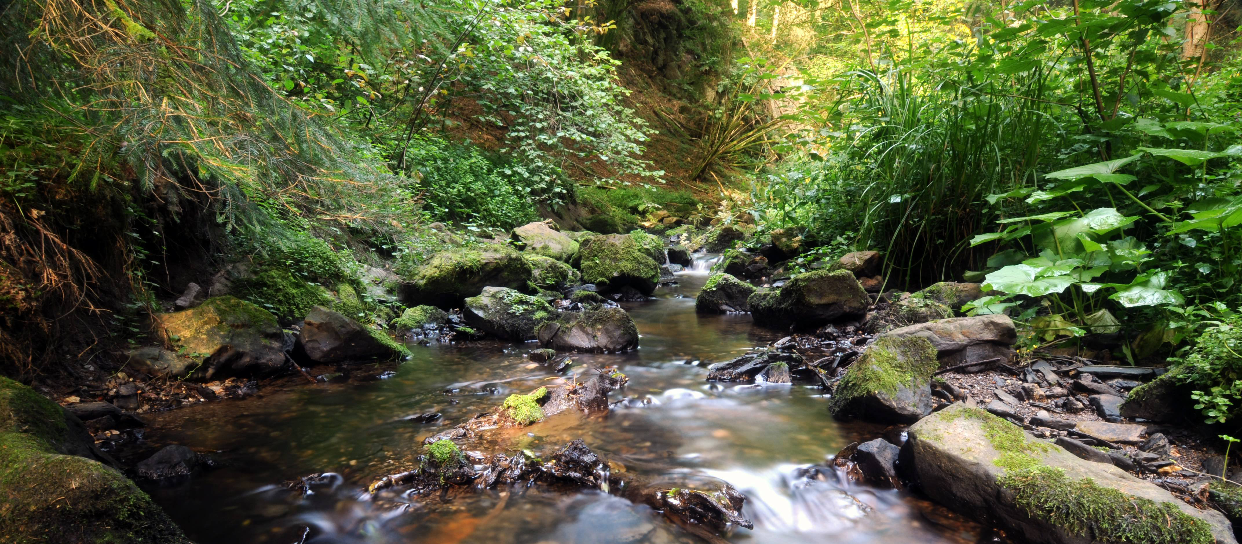 Auf spirituellen Wanderungen Gott in der Natur nahe kommen