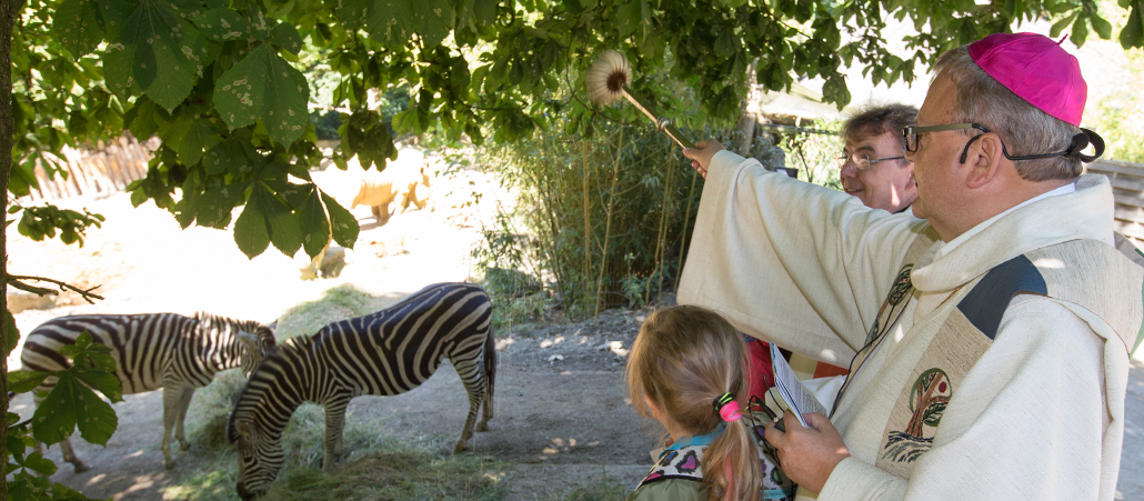 Bischof Franz-Josef Bode segnet beim Aktionstag "Tiere der Bibel" Zebras im Osnabrücker Zoo.