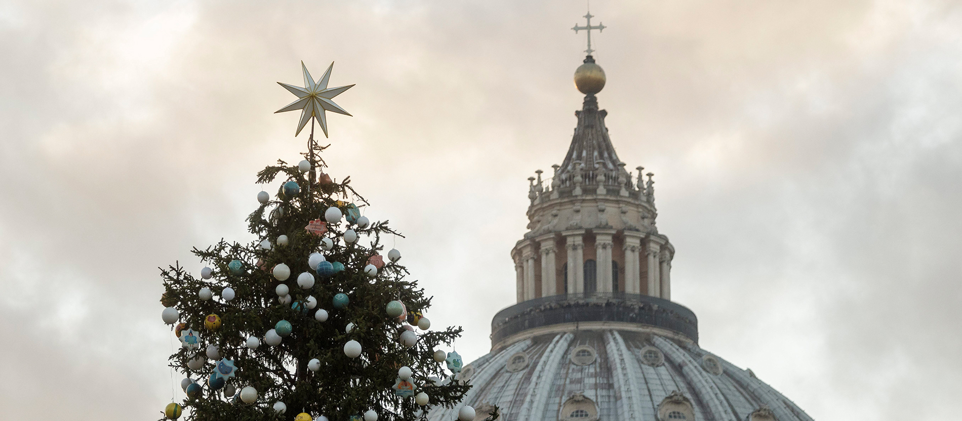 Vatikan weiht Weihnachtskrippe ein – Christbaum erleuchtet