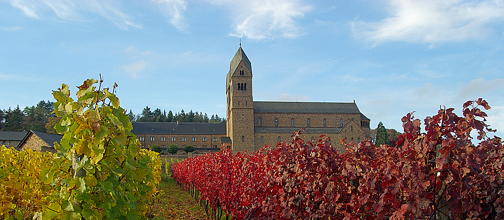 Die Benediktinerinnen-Abtei St. Hildegard liegt oberhalb von Rüdesheim am Rhein. Umgeben von Weinbergen trohnt das Kloster mit seiner mächtigen, zweitürmigen Kirche an einem wunderschönen Standort inmitten des Unesco-Welterbes 
