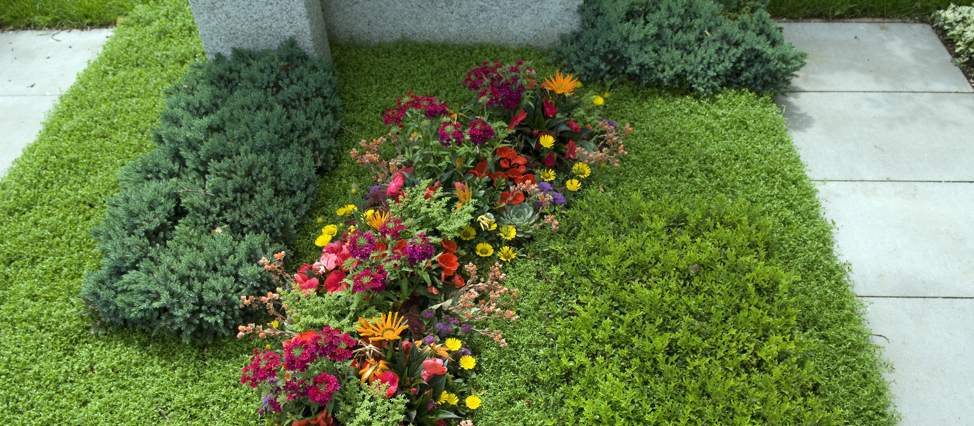 Mit den Blumen, die man auf ein Grab pflanzt, kann eine Aussage verbunden sein.