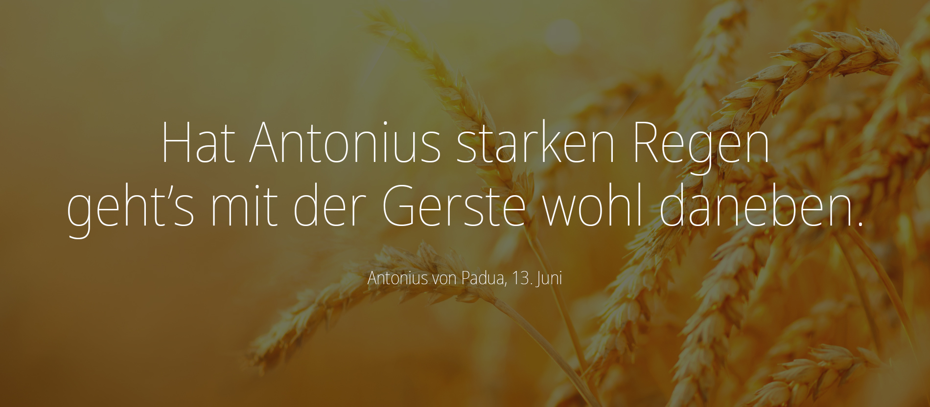 Antonius von Padua Bauernregeln