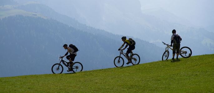 Drei Radfahrer mit Helm fahren eine grüne Wiese herunter. Im Hintergrund sind hohe Berge zu sehen. 