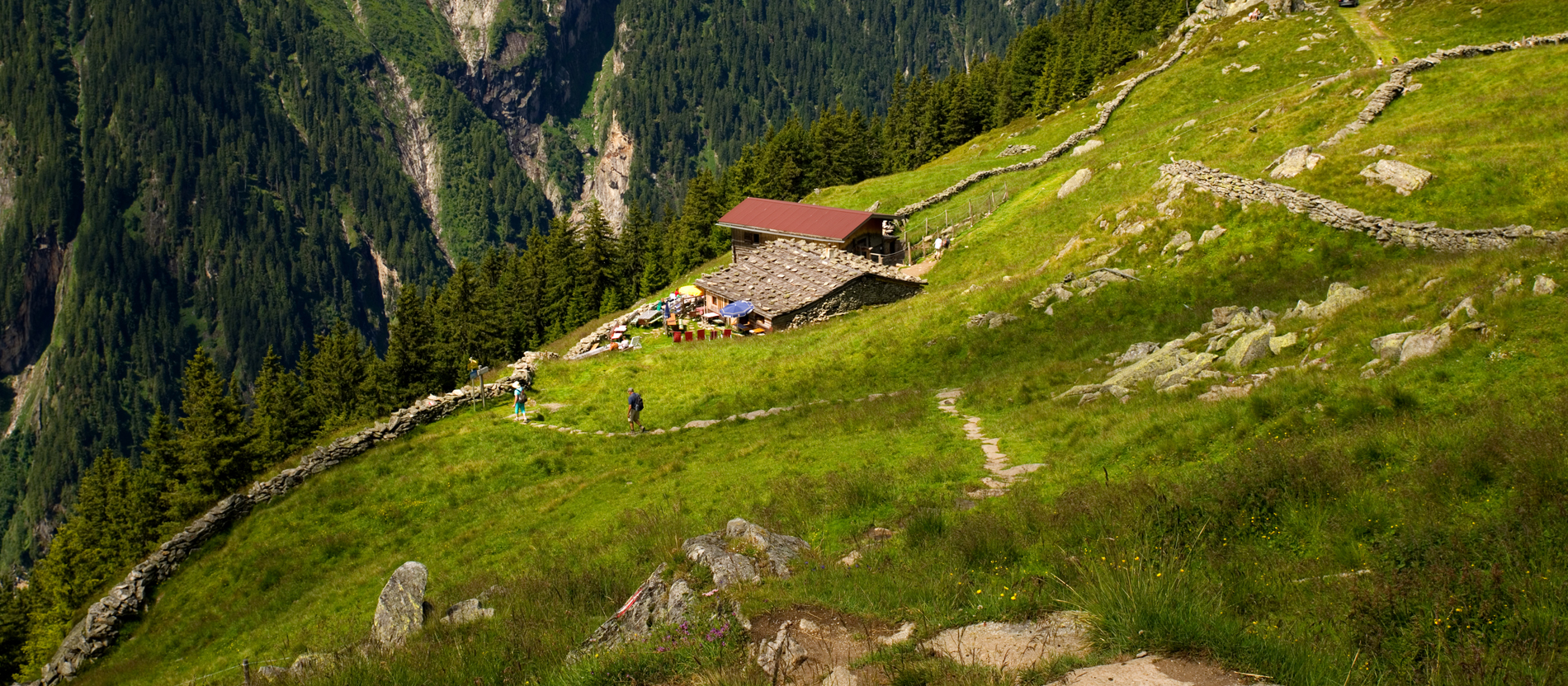 Eine Berghütte in grünen Bergen mit Wanderwegen davor