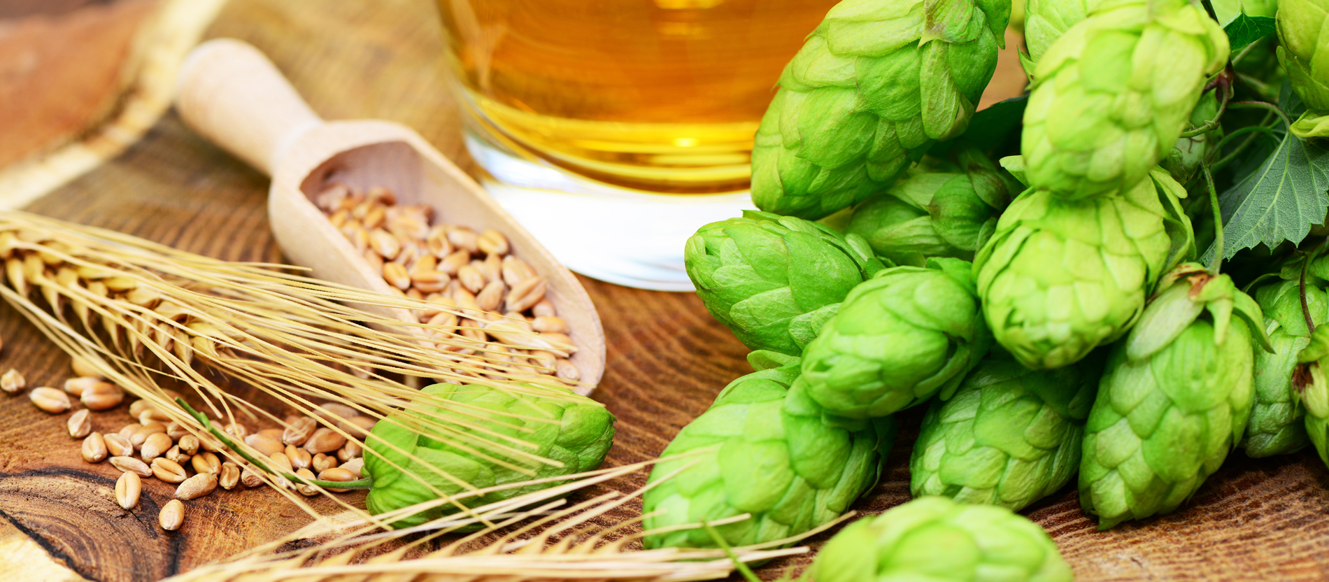 Hopfen, Gerste und Bier.