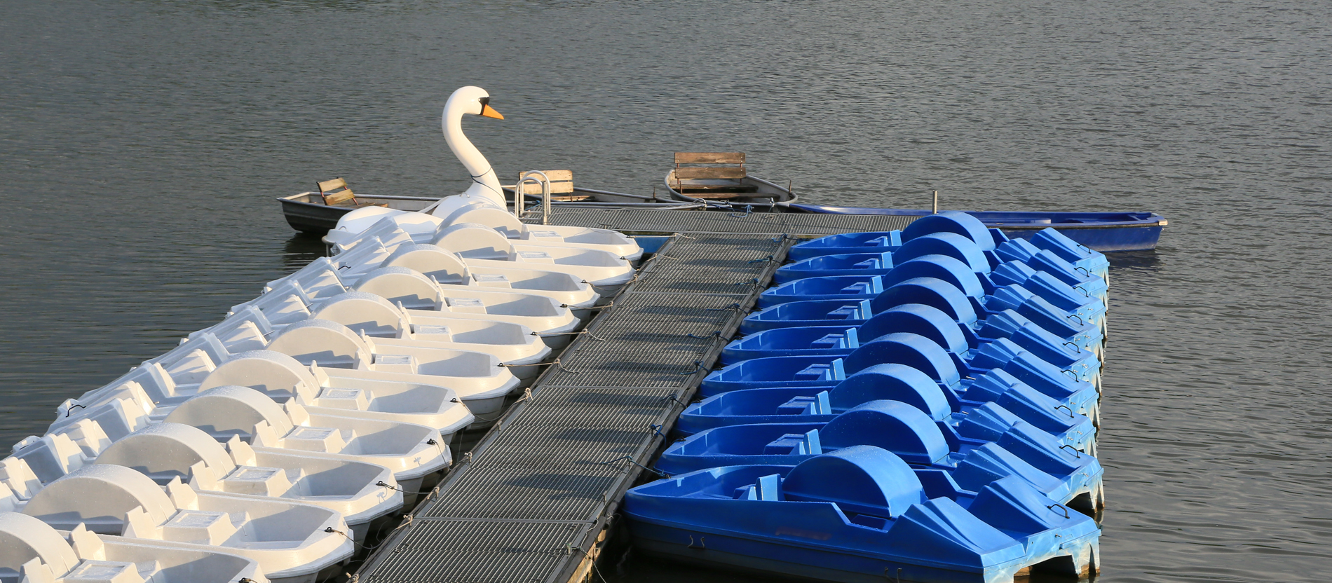Tretboote im See