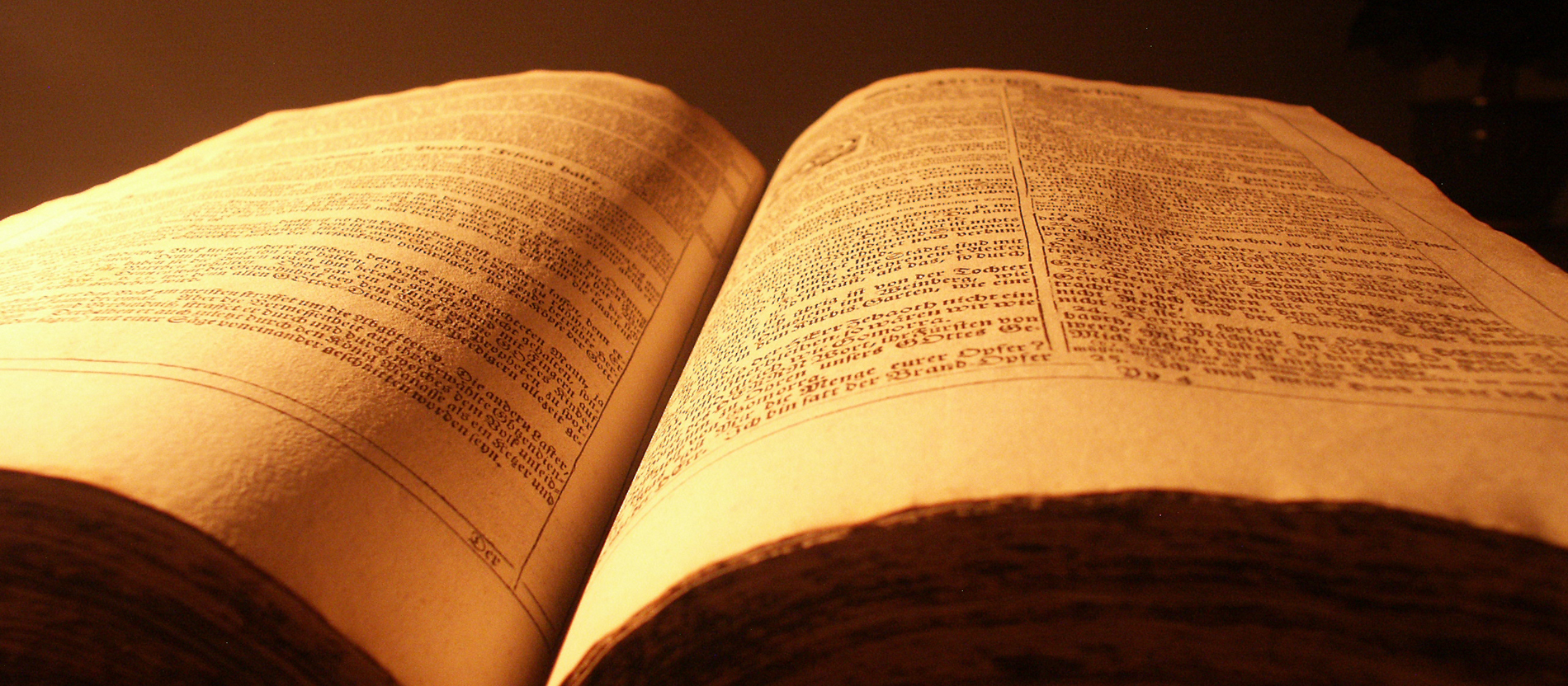 Kuriosit ten In Der Bibel Der Humor In Der Bibel Fein Und Subtil GRWZC Kuriosit ten In Der Bibel Der Humor In Der Bibel Fein Und Subtil GRWZC