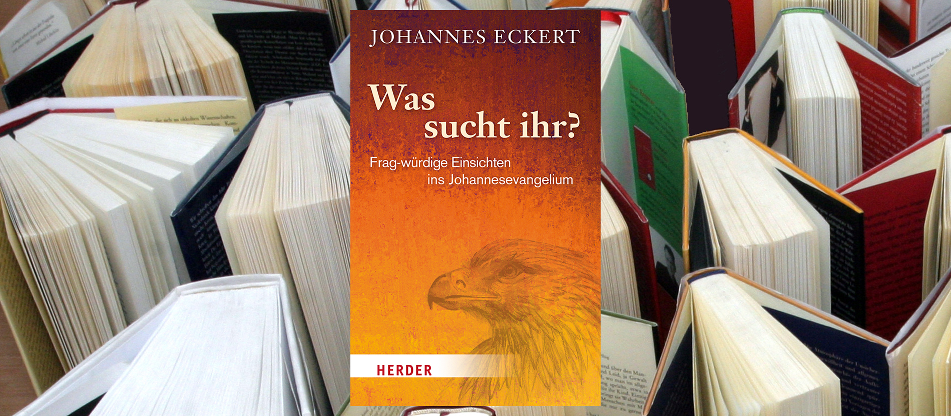 Ein Buchcover