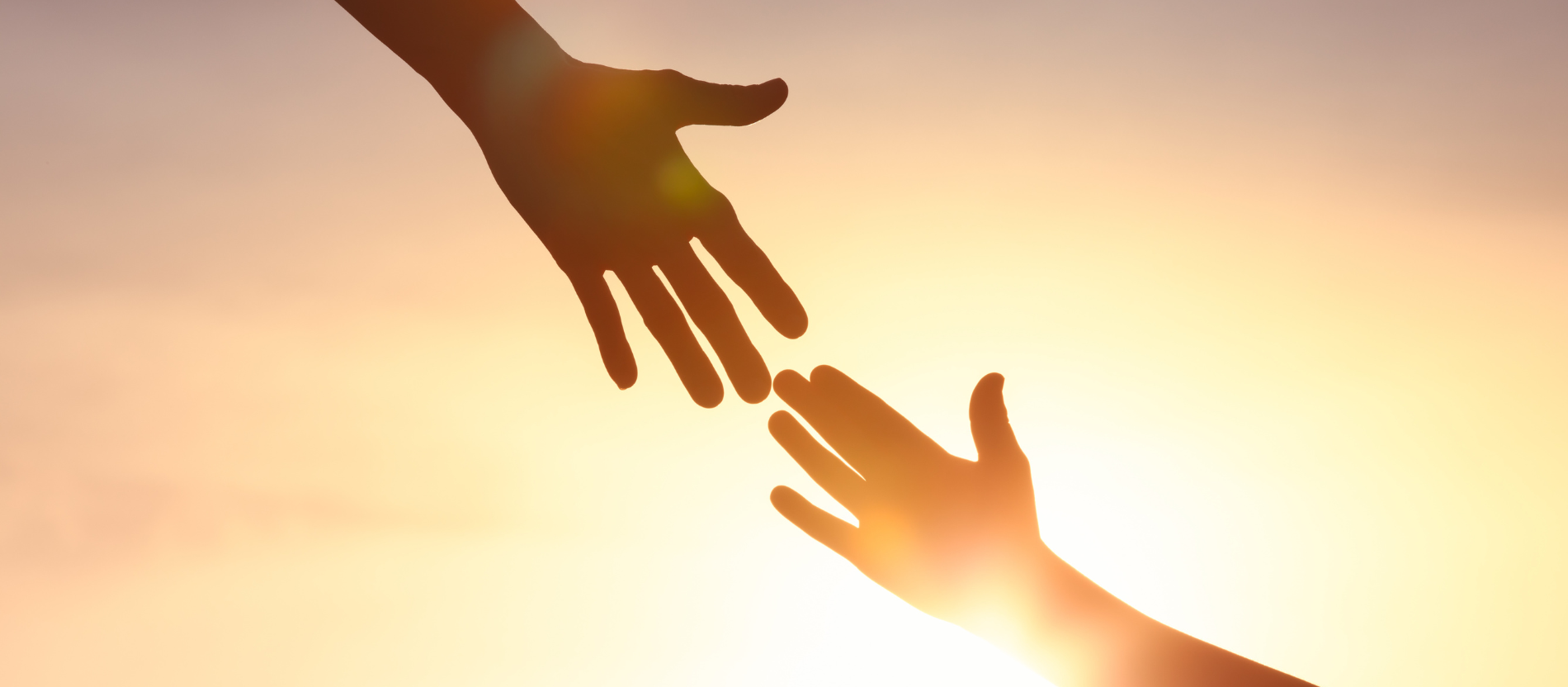 Zwei Hände berühren einander vor einer Sonne 