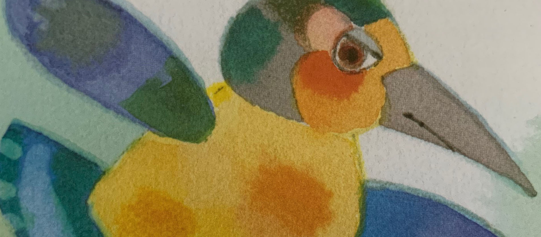 Der Chamäleonvogel