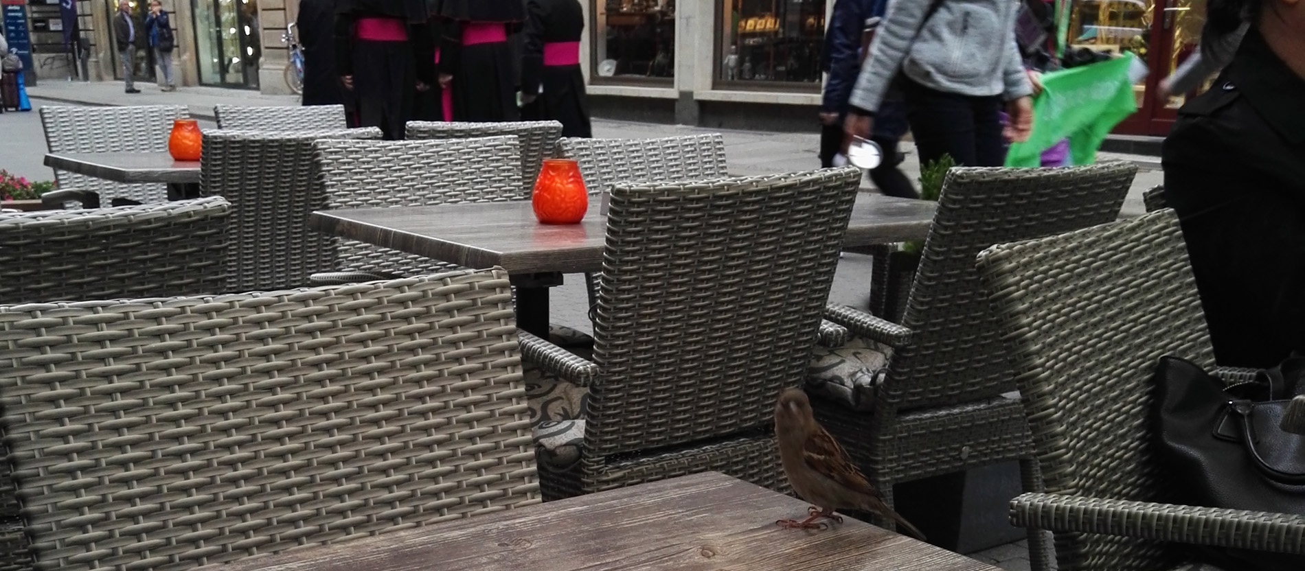 Ein Vogel sitzt auf einem Tisch