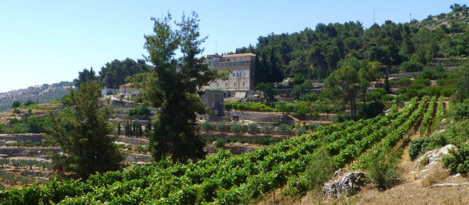 Kloster, Weinberg, Palästine