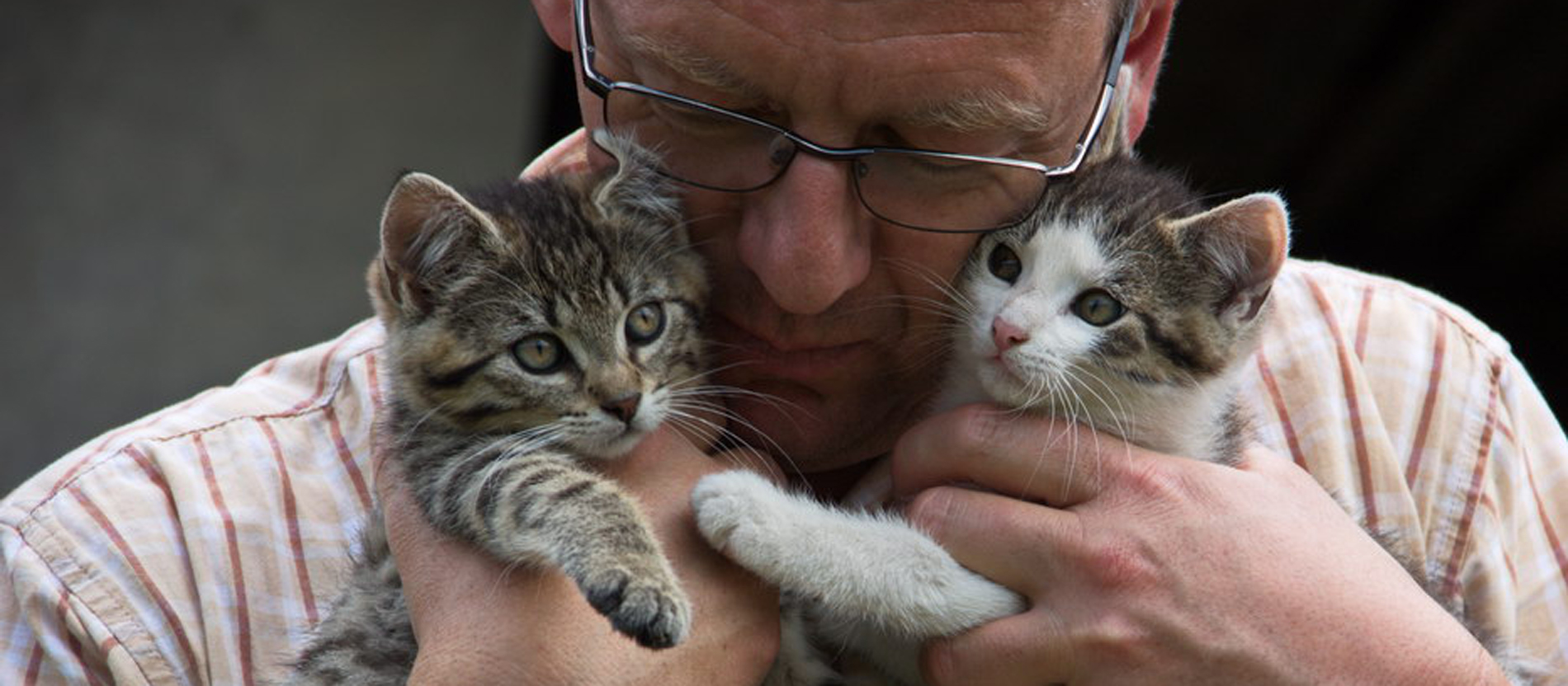 Bruder Markus hält zwei Katzen in seinen Händen.