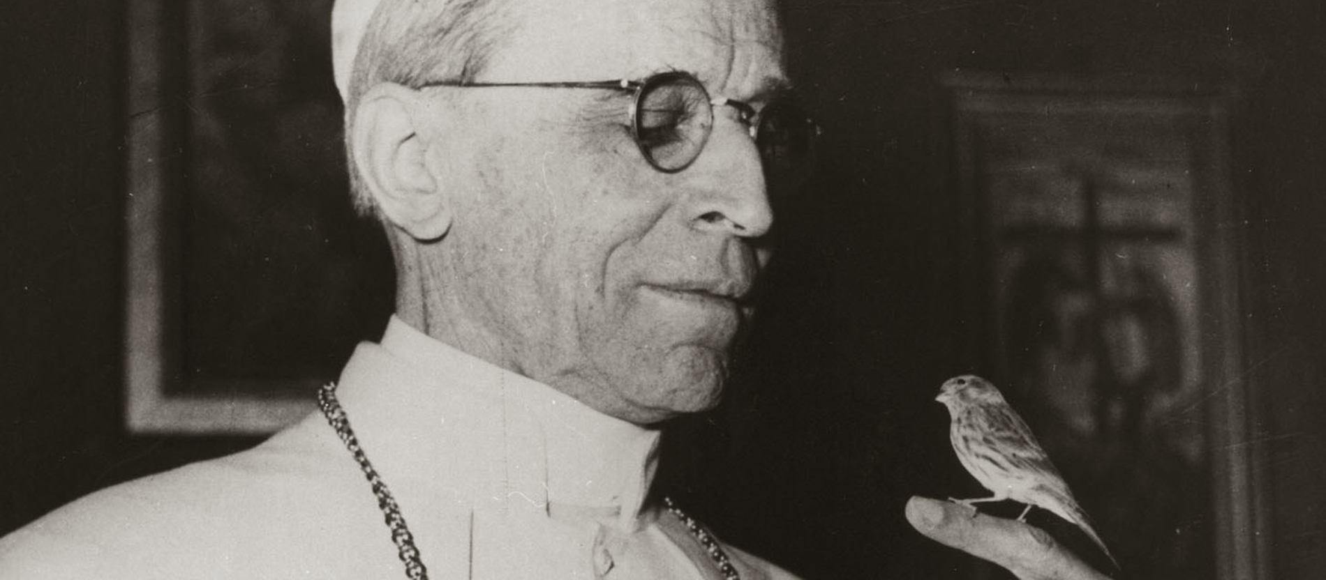 Papst Pius XII. mit einem Vogel auf dem Finger.