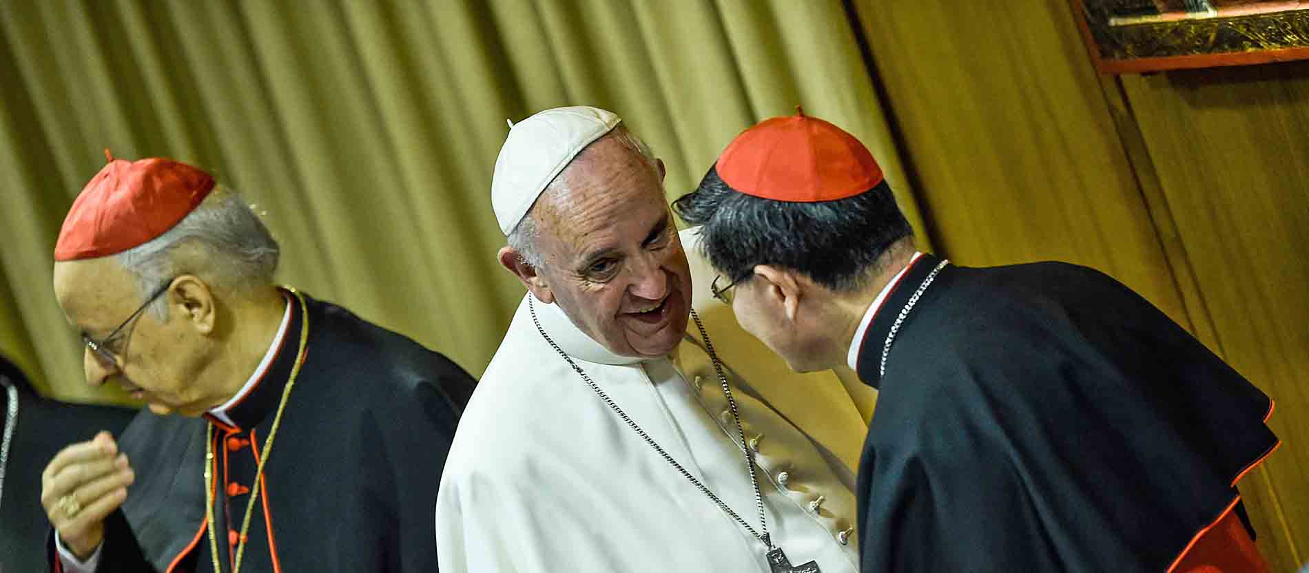 Papst: Glaubenslehre ist kein Museum