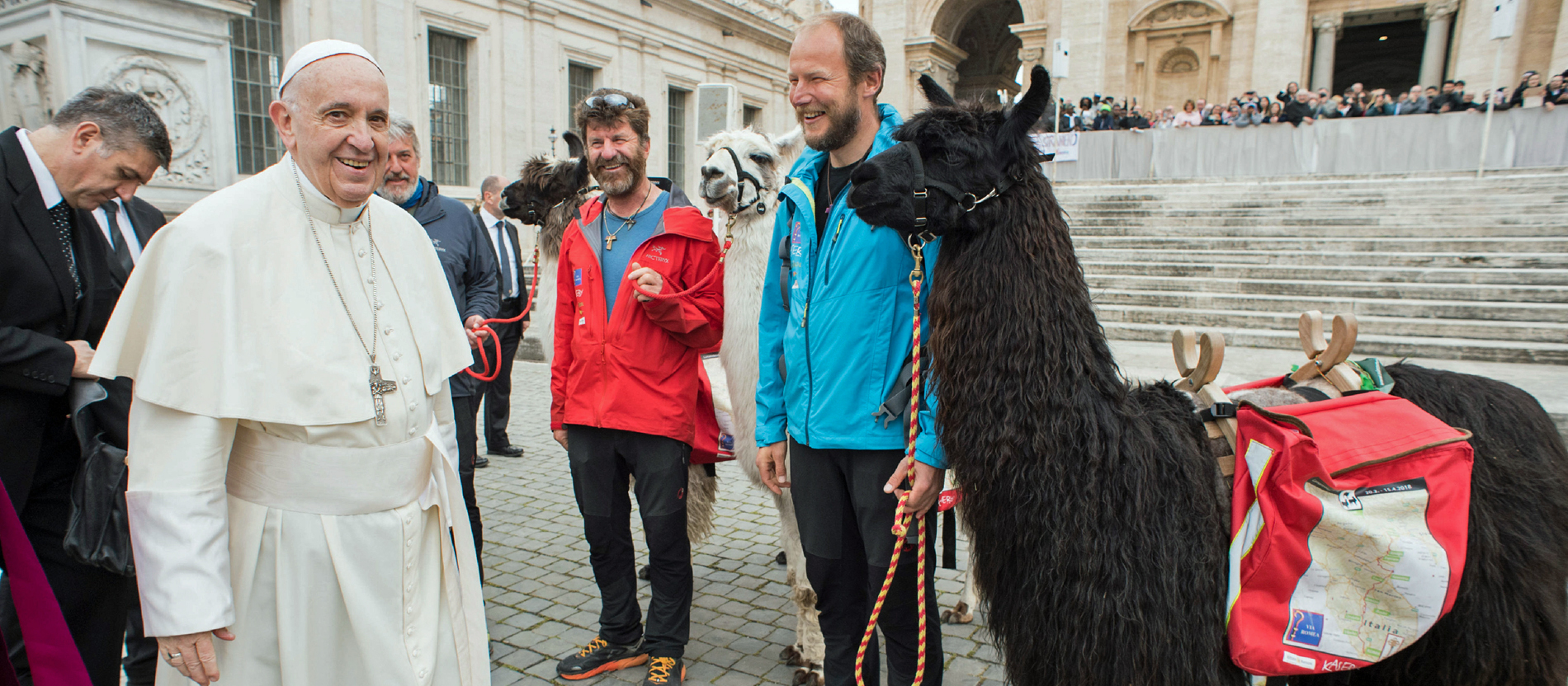 Drei Lamas für den Papst