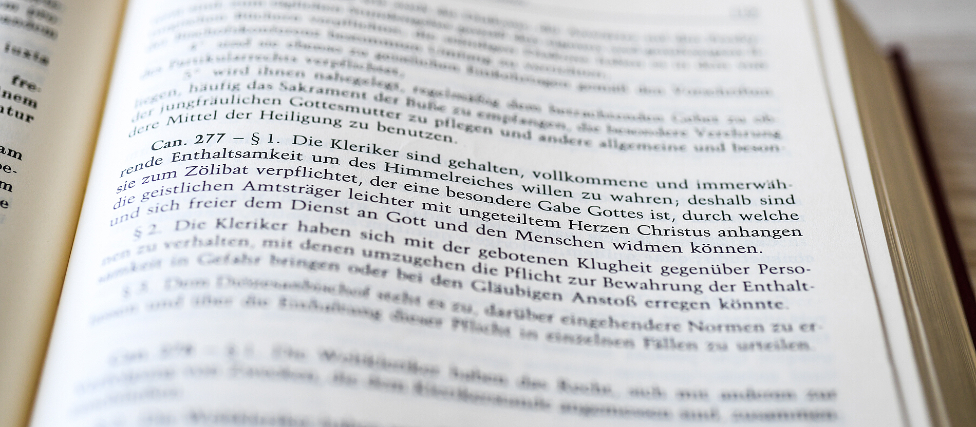 Expertin zu Schutz vor Missbrauch in Kirche: Zölibat überdenken