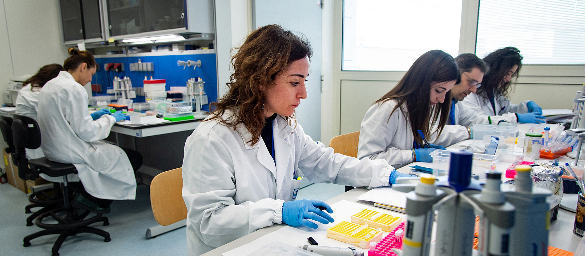 Forschen für Franziskus