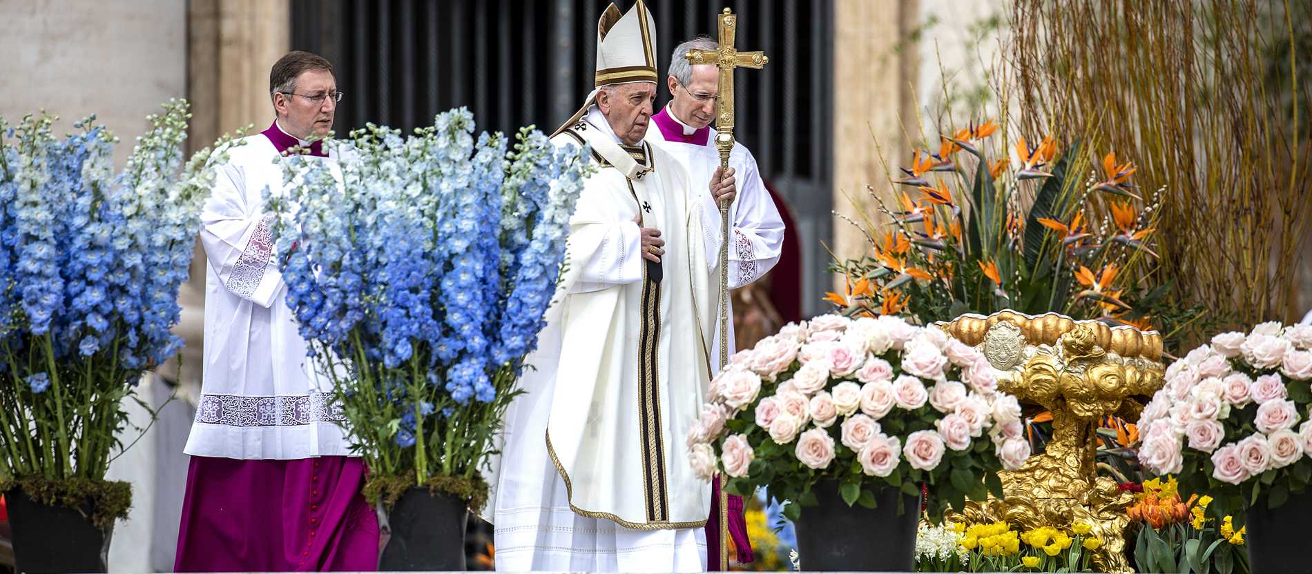 Papst Franziskus steht hinter mehreren Blumenkübeln