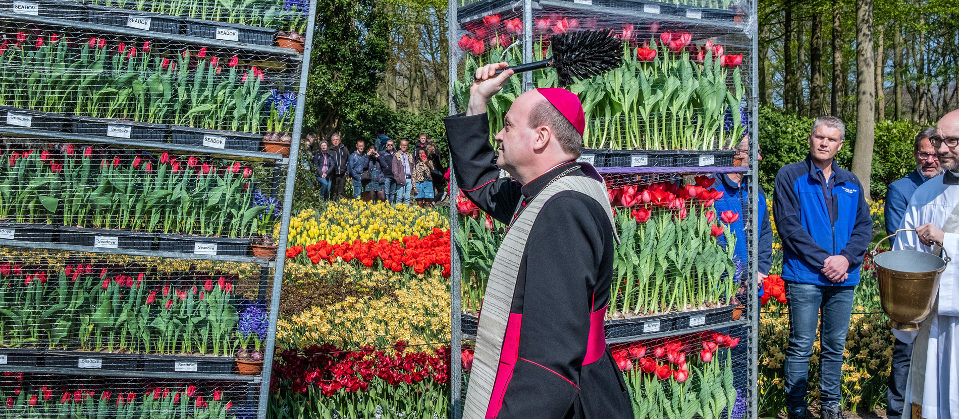 Bischof Hans van de Hende segnet Tulpen im Keukenhof in Lisse.